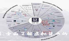 虚拟币净值解析：全面了解虚拟货币的价值与市