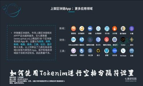如何使用Tokenim进行空格分隔符设置