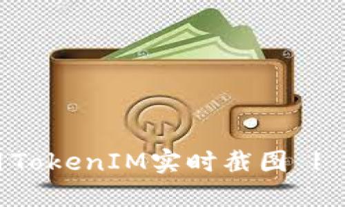 如何使用TokenIM实时截图 | 完全指南