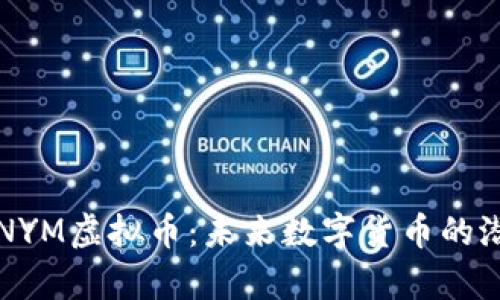 深入解析NYM虚拟币：未来数字货币的潜力与挑战