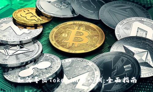 如何导出Tokenim的公钥：全面指南