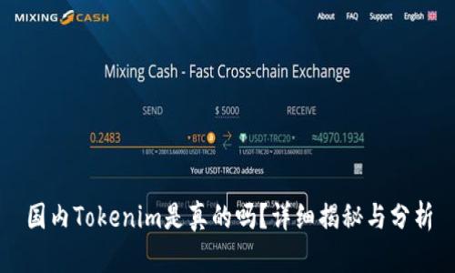 国内Tokenim是真的吗?详细揭秘与分析