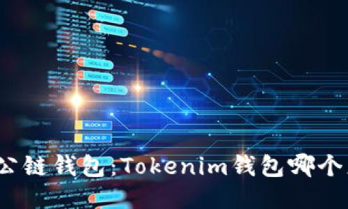 探索最佳公链钱包：Tokenim钱包哪个更适合你？