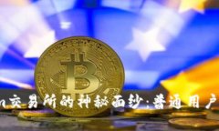 揭开Tokenim交易所的神秘面纱：普通用户为何选择