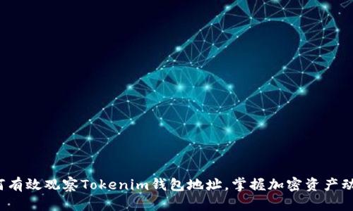 如何有效观察Tokenim钱包地址,掌握加密资产动态?