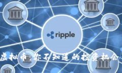 : 揭秘ROC虚拟币：你不知道的投资机会与潜在风险