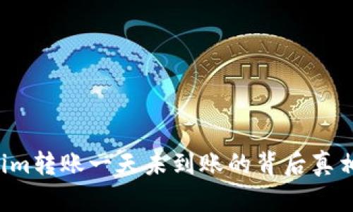 揭秘!Tokenim转账一天未到账的背后真相,你必须知道!