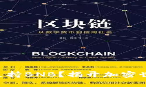 Tokenim是否支持BNB?揭开加密世界的神秘面纱