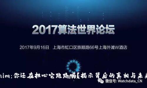 Tokenim:你还在担心它跑路吗?揭示背后的真相与未来潜力