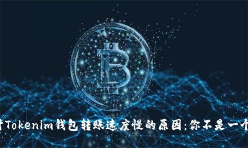 探讨Tokenim钱包转账速度慢的原因:你不是一个人!