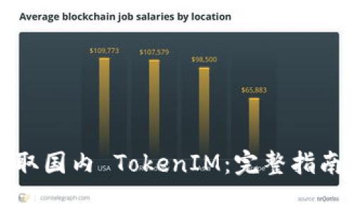 如何轻松获取国内 TokenIM:完整指南与注意事项