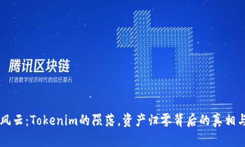 币圈风云：Tokenim的陨落，资产归零背后的真相与反思