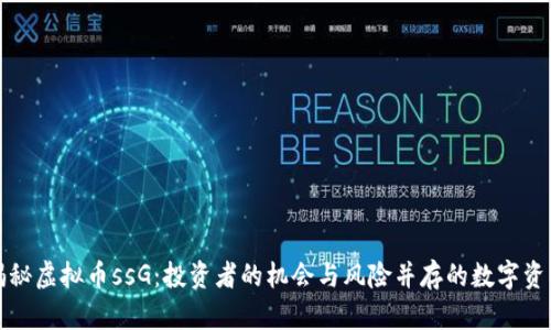 揭秘虚拟币ssG：投资者的机会与风险并存的数字资产