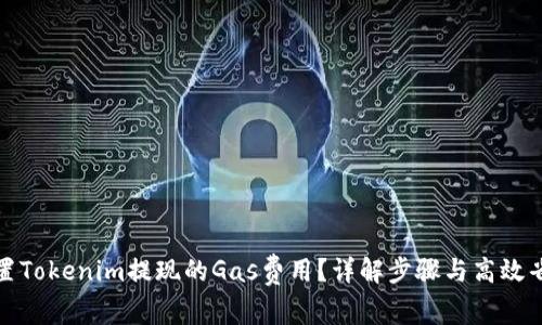 如何设置Tokenim提现的Gas费用?详解步骤与高效省钱技巧