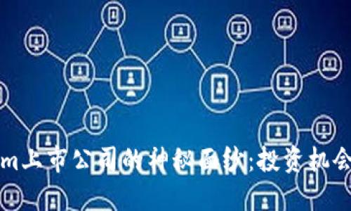揭开Tokenim上市公司的神秘面纱：投资机会与未来展望