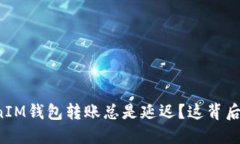 为什么你的TokenIM钱包转账总是延迟？这背后隐藏