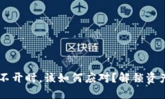 当虚拟币钱包打不开时，该如何应对？解锁资产