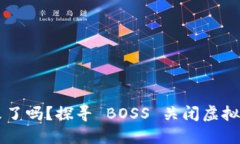 虚拟币的时代结束了吗？探寻 BOSS 关闭虚拟币背