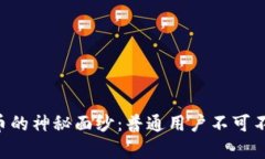 揭开EX Money虚拟币的神秘面纱：普通用户不可不知