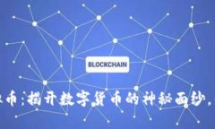 外国人开发的虚拟币：揭开数字货币的神秘面纱