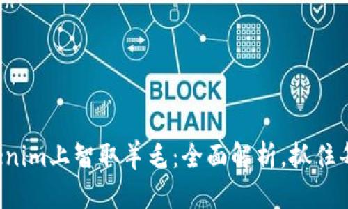 如何在Tokenim上智取羊毛：全面解析，抓住每一个机会！