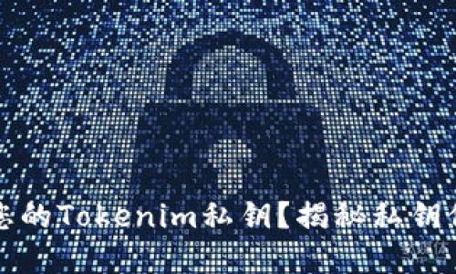 如何安全管理您的Tokenim私钥？揭秘私钥保管的最佳实践