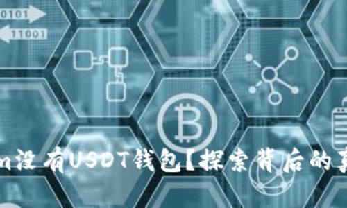 为什么Tokenim没有USDT钱包?探索背后的真相与解决方案