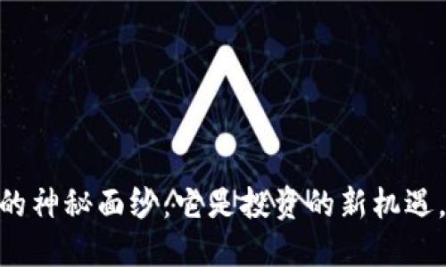 揭开BDSE虚拟币的神秘面纱：它是投资的新机遇，还是风险的漩涡？