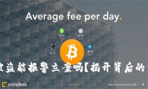 虚拟币被盗能报警立案吗？揭开背后的法律迷雾