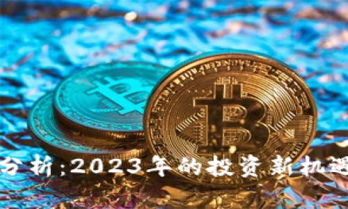 虚拟币市值分析：2023年的投资新机遇与风险探讨