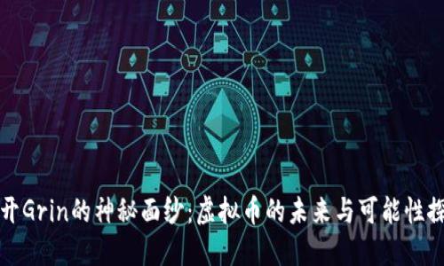 揭开Grin的神秘面纱：虚拟币的未来与可能性探索
