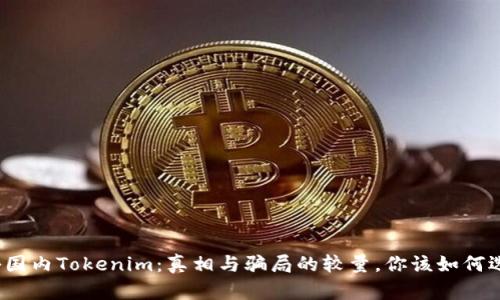 揭秘国内Tokenim：真相与骗局的较量，你该如何选择？