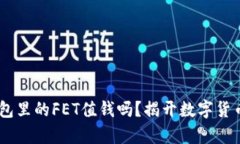 : Tokenim钱包里的FET值钱吗？揭开数字货币的真实