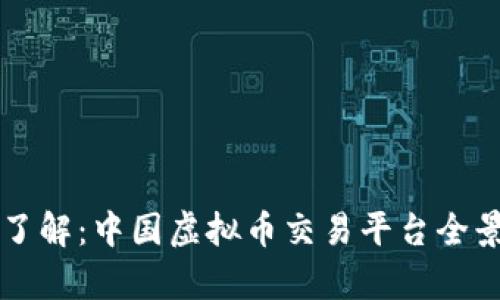 深入了解：中国虚拟币交易平台全景分析