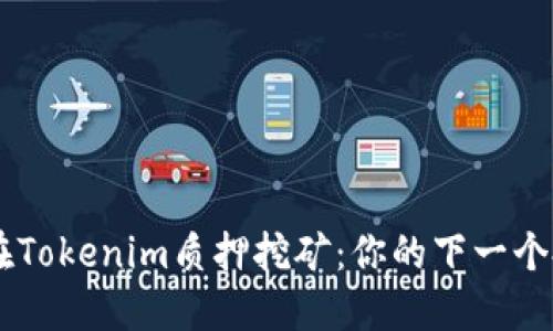 揭秘DPL在Tokenim质押挖矿：你的下一个投资机会？