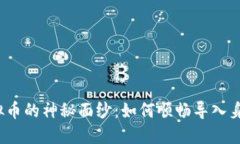 揭开虚拟币的神秘面纱：如何顺畅导入身份钱包
