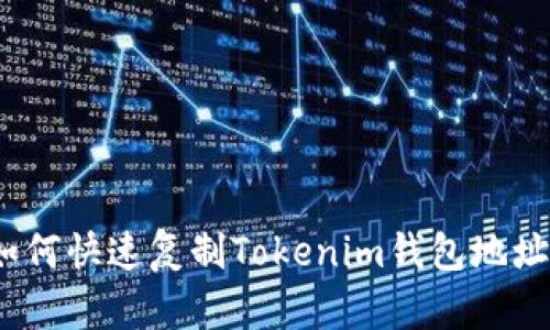 轻松掌握！如何快速复制Tokenim钱包地址的详细指南