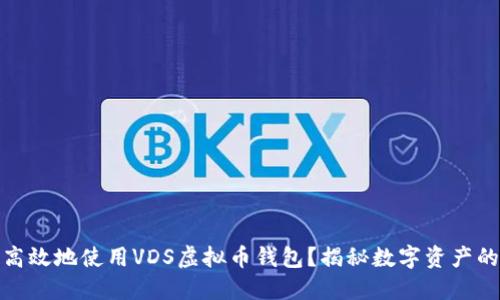 如何安全高效地使用VDS虚拟币钱包？揭秘数字资产的保护之道
