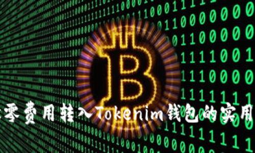 轻松零费用转入Tokenim钱包的实用指南