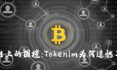  币安链上的困境：Tokenim为何遗憾不支持？