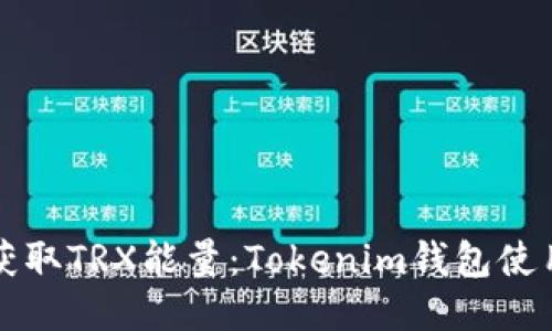 轻松获取TRX能量：Tokenim钱包使用指南
