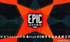 为什么Tokenim上没有Doge币？探寻背后的原因与答案