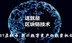 揭秘VAST虚拟币：新兴数字资产的投资机会与风险