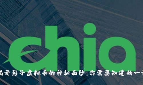 揭开影子虚拟币的神秘面纱：你需要知道的一切