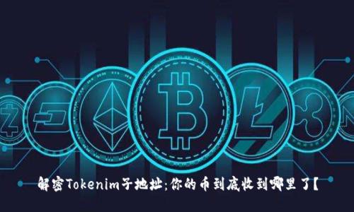 解密Tokenim子地址：你的币到底收到哪里了？