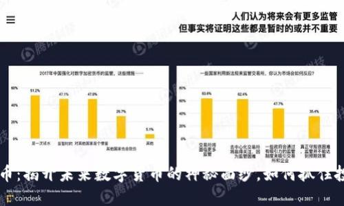 PLT虚拟币：揭开未来数字货币的神秘面纱，如何抓住投资机遇？