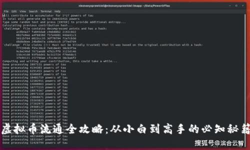 虚拟币流通全攻略：从小白到高手的必知秘籍