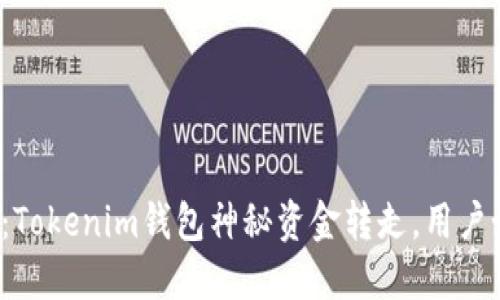 惊险一刻：Tokenim钱包神秘资金转走，用户如何自保？