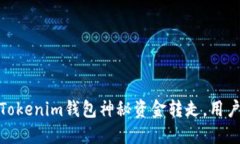 惊险一刻：Tokenim钱包神秘资金转走，用户如何自