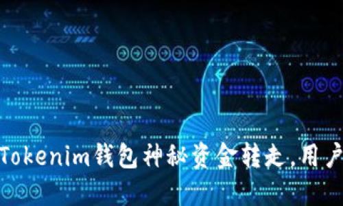 惊险一刻：Tokenim钱包神秘资金转走，用户如何自保？